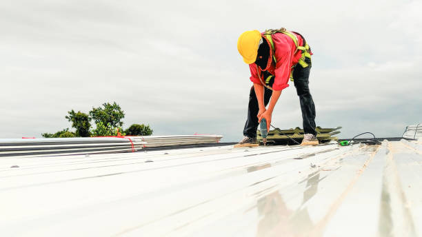 Best Emergency Roof Repair Services  in Panama City, FL