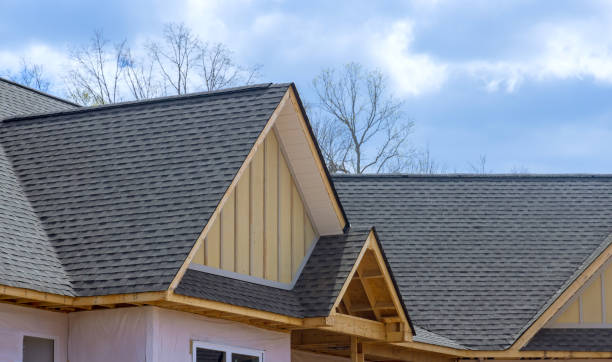 Best Asphalt Shingle Roofing  in Panama City, FL