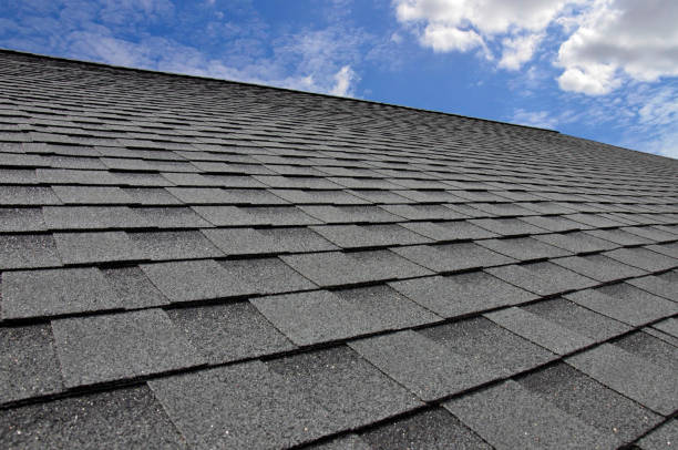 Fast & Reliable Emergency Roof Repairs in Panama City, FL